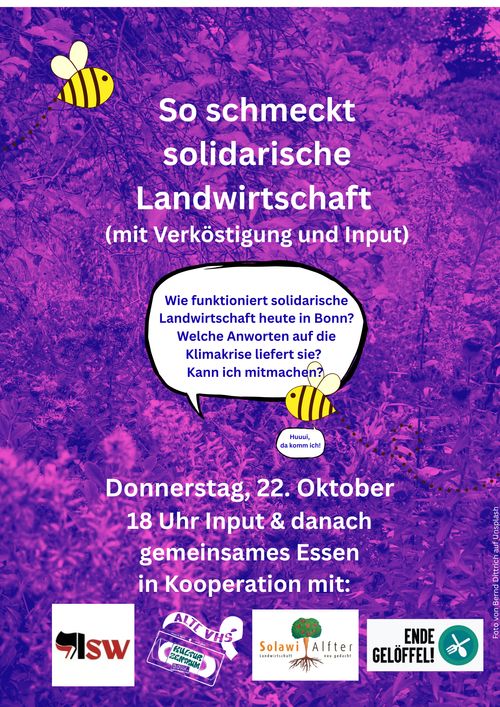 So schmeckt Solidarische Landwirtschaft