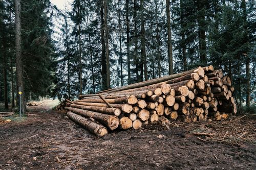 Kies vom Niederrhein oder Holz aus dem Sauerland – woher kommen die Rohstoffe fürs urbane Bauen in den Ballungsräumen NRWs?