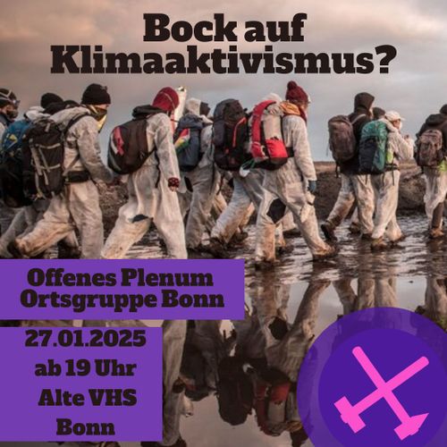 Offenes Plenum von Ende Gelände Bonn