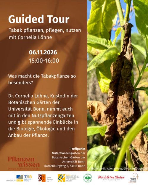 Guided Tour – Tabak pflanzen, pflegen, nutzen mit Cornelia Löhne